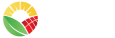 Sharif Group